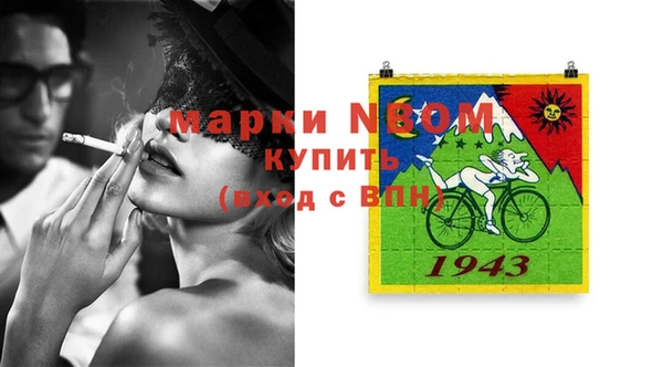 хмурый Алзамай